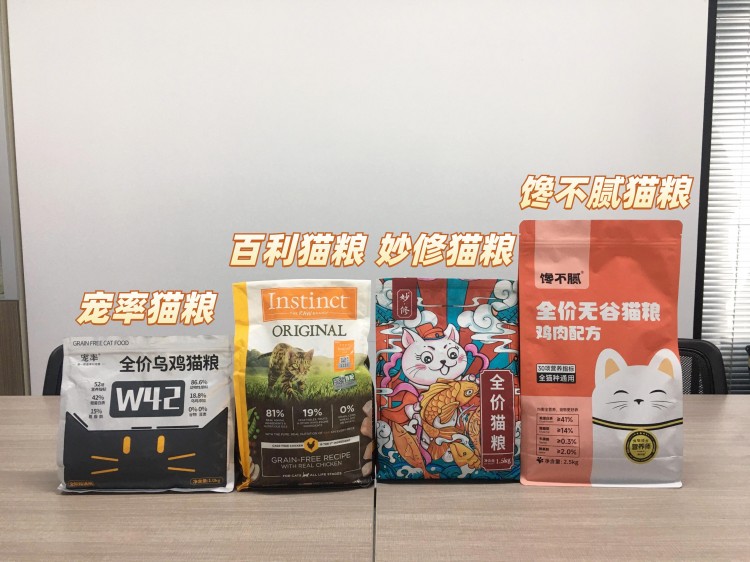 新手养猫别紧张注意这几点让你养猫没烦恼