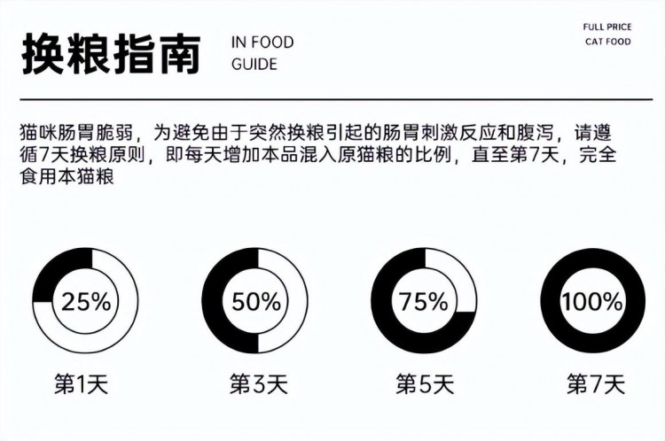 新手养猫别紧张注意这几点让你养猫没烦恼