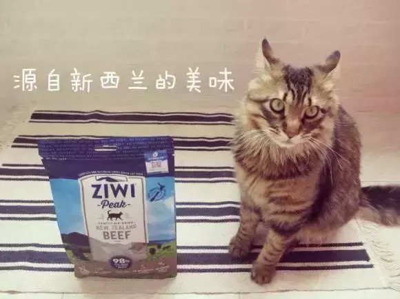 体验馆｜猫粮中の爱马仕让主子登顶一生巅峰